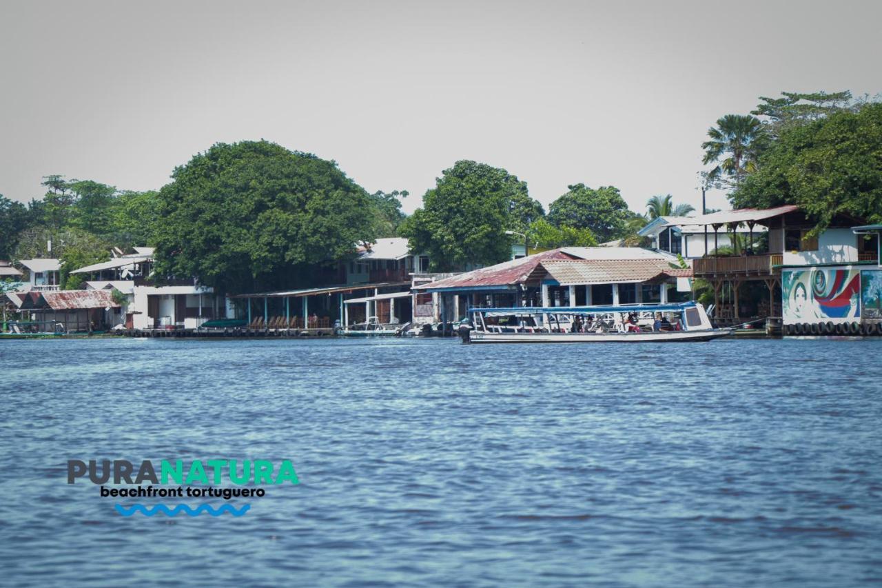 Hotel Pura Natura Beachfront Tortuguero Ngoại thất bức ảnh