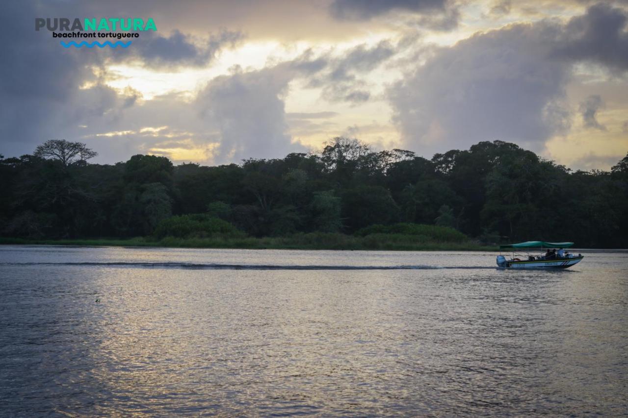 Hotel Pura Natura Beachfront Tortuguero Ngoại thất bức ảnh