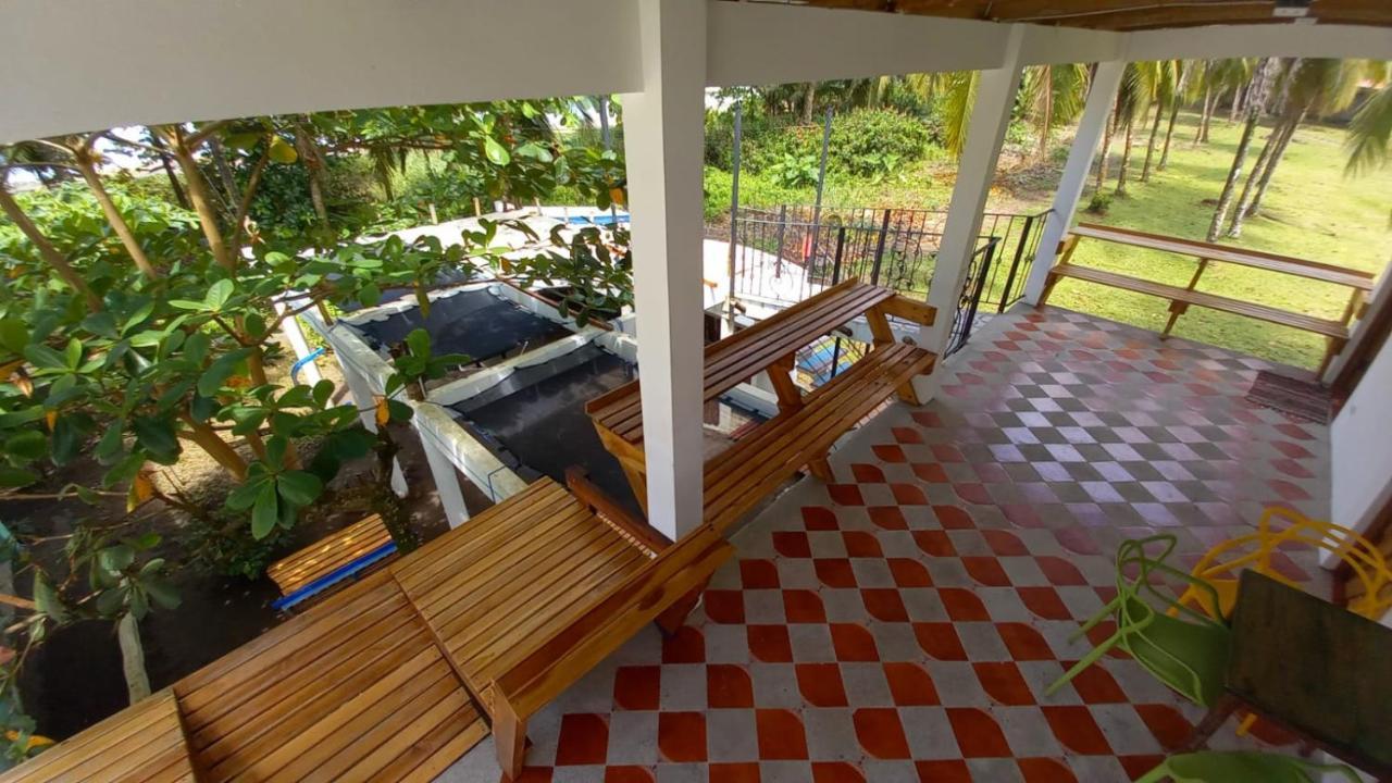 Hotel Pura Natura Beachfront Tortuguero Ngoại thất bức ảnh