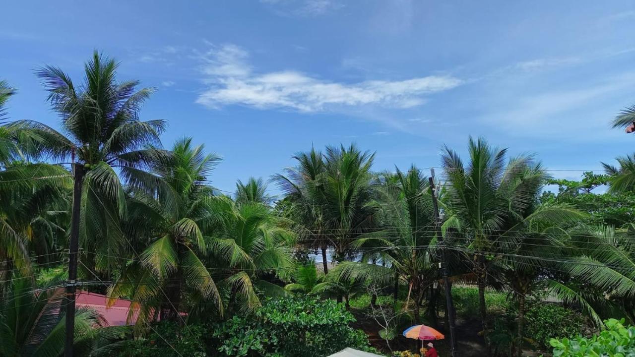 Hotel Pura Natura Beachfront Tortuguero Ngoại thất bức ảnh
