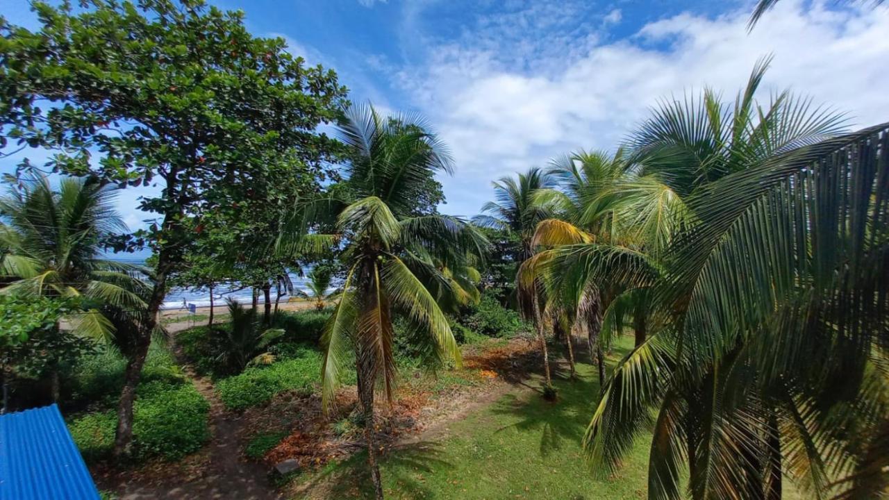 Hotel Pura Natura Beachfront Tortuguero Ngoại thất bức ảnh