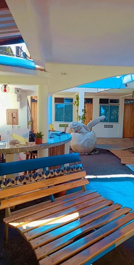 Hotel Pura Natura Beachfront Tortuguero Ngoại thất bức ảnh