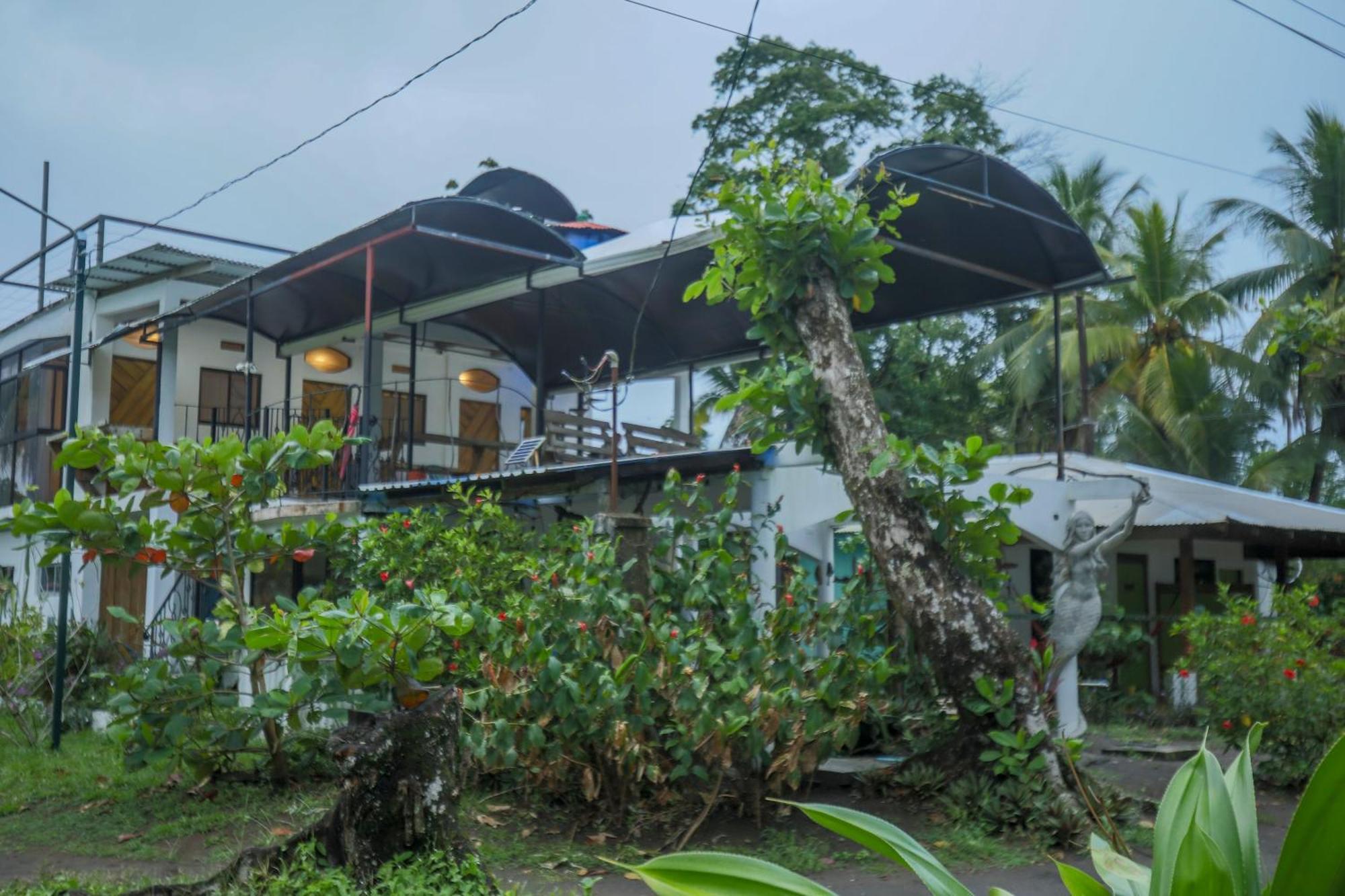 Hotel Pura Natura Beachfront Tortuguero Ngoại thất bức ảnh